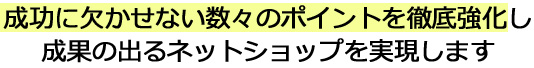 成功に欠かせない数々のポイントを徹底強化し成果の出るネットショップを実現します