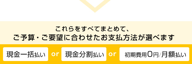 これらをすべてまとめて、ご予算・ご要望に合わせたお支払方法が選べます